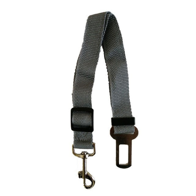 Ceinture de sécurité pour animaux